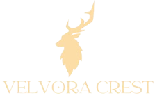 customized T-shirt brand