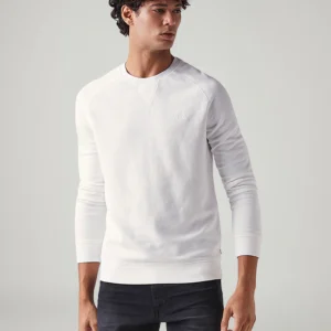 Men's Solid Regular Fit T-Shirt